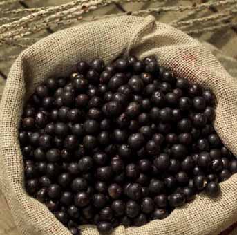 Acai Berry Panier